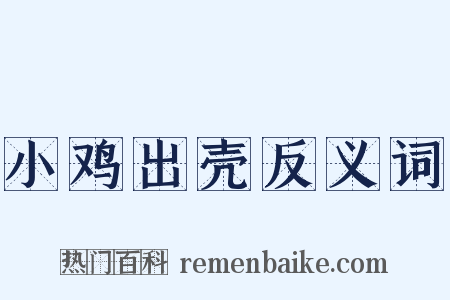 小鸡出壳反义词是什么意思的图片